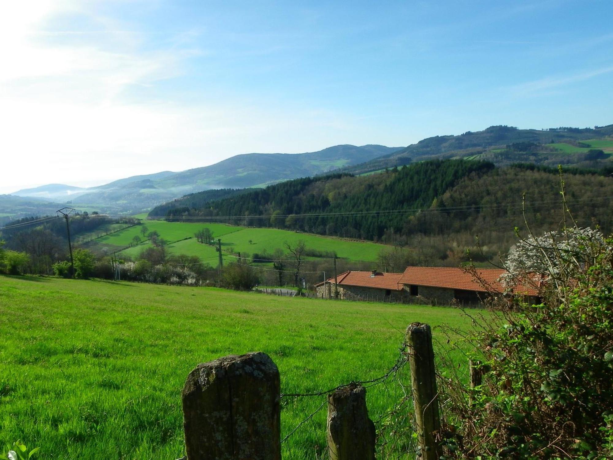 Maison D'Hotes De La Verriere Les Ardillats Exteriér fotografie