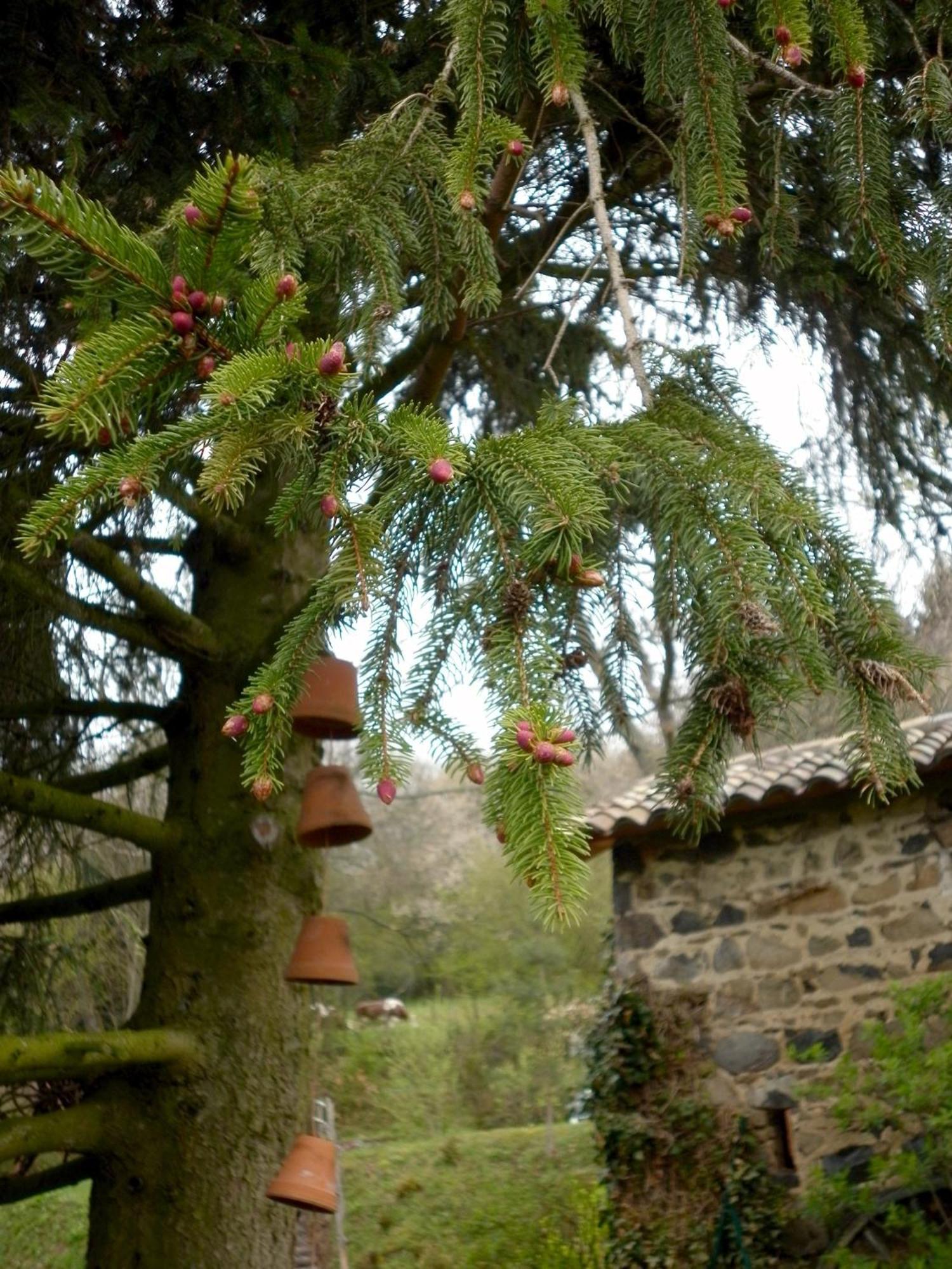 Maison D'Hotes De La Verriere Les Ardillats Exteriér fotografie